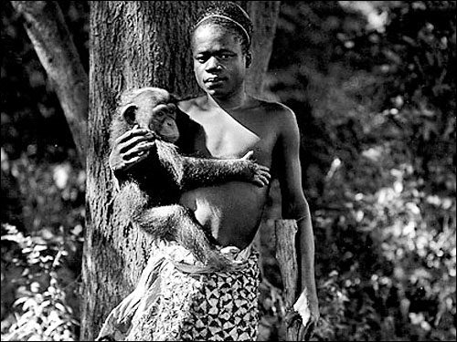 Verner displayed Ota at the Louisiana Purchase Exposition, and he was billed as "the only genuine African cannibal in America."