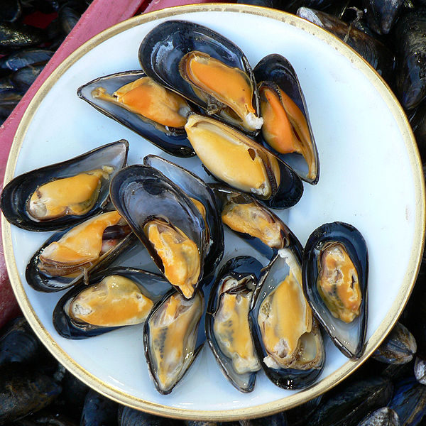 Mussels