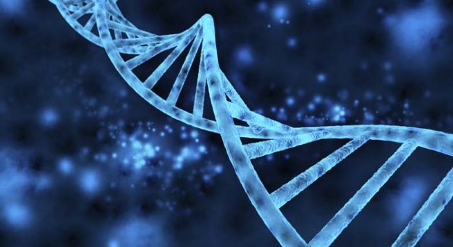About 8 percent of all human DNA is made up of ancient viral fragments hiding deep within the genome. 
