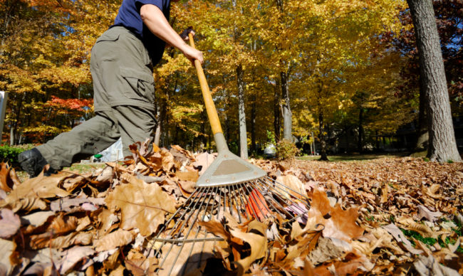 Get a better grip when you shovel or rake by wrapping the handle with a few layers of the clear film. This will also help prevent blisters.