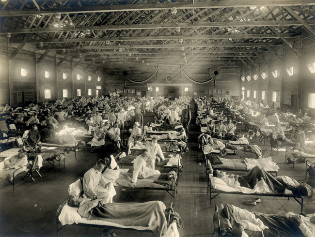 The Spanish Flu caused nearly one third of all deaths in WWI.