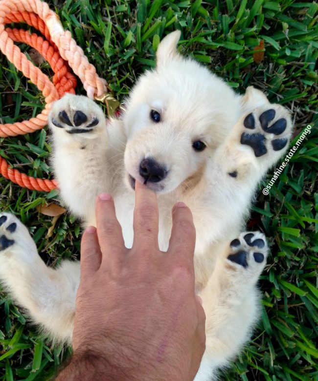 And you're definitely a polar bear pup.