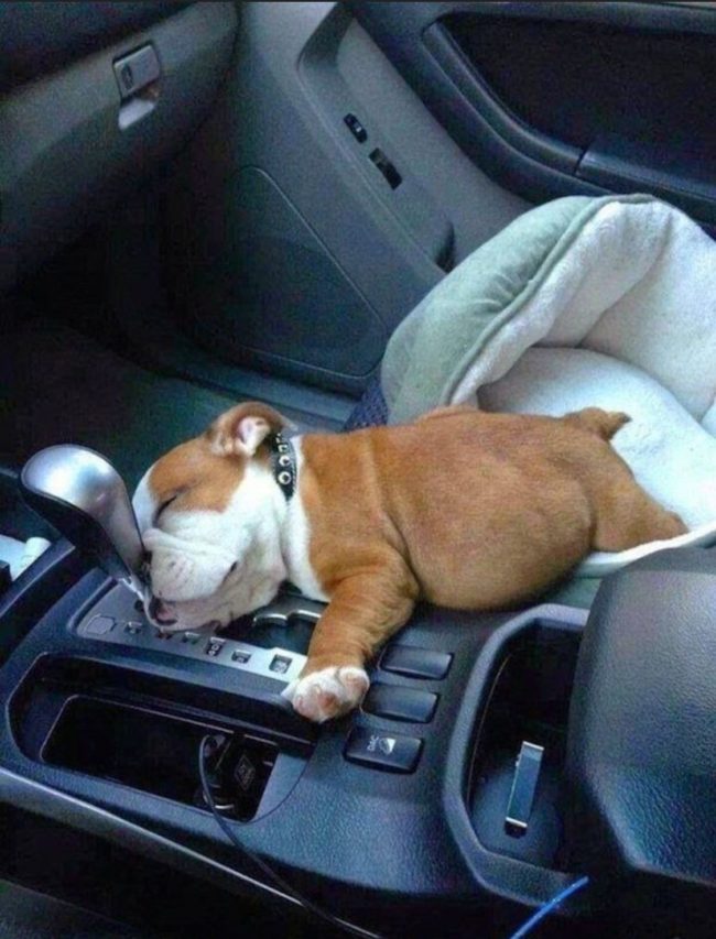 "Wake me up when we're home."