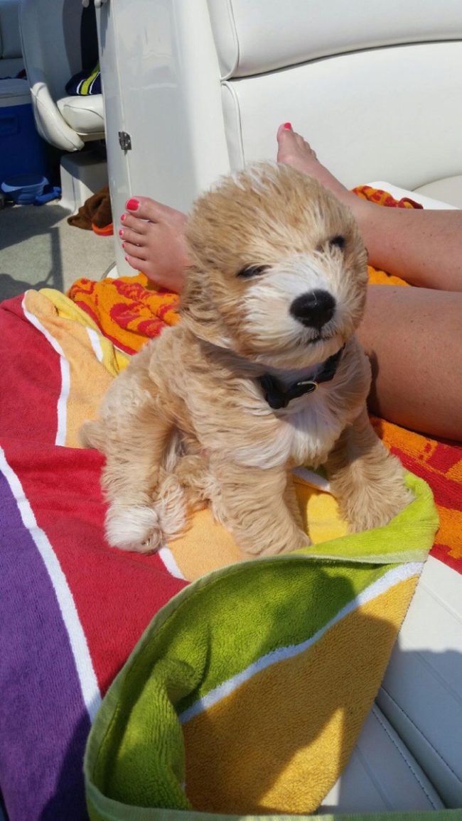 This little guy's blowout is going to be on point.