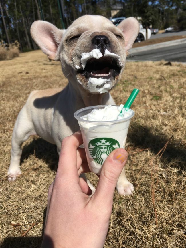 "I love the smell of whipped cream in the morning!"