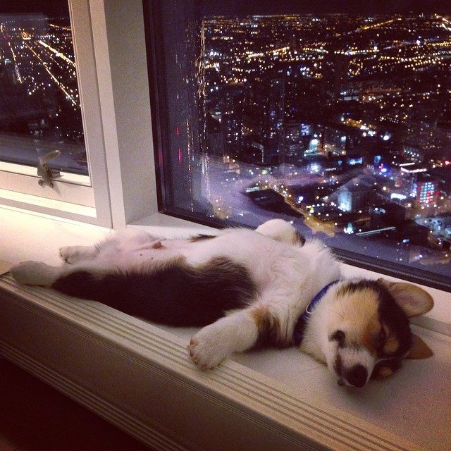 "Big city life is exhausting."