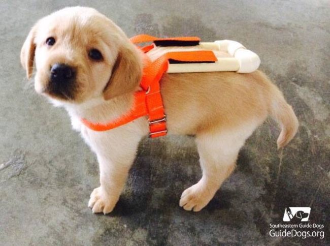 "I'm ready for my first day on the job!"