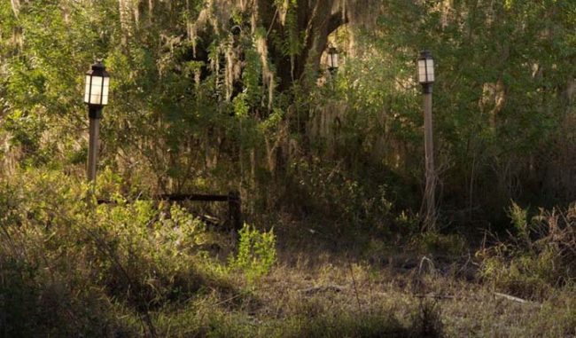 &ldquo;Next month will mark 40 years after the opening day of River Country, and I wanted to capture powerful images that wouldn't just showcase this eerie, abandoned Disney park. I wanted it to be absolutely beautiful at the same time," he continued.