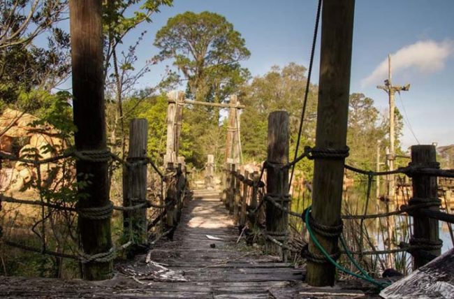 &ldquo;Let&rsquo;s face it: there are places in this world that most of us could never imagine being abandoned, and Disney World tops that list,&rdquo; Lawless explained to <a href="http://petapixel.com/2016/03/16/photos-abandoned-disney-world-reclaimed-nature/" target="_blank">PetaPixel</a>.