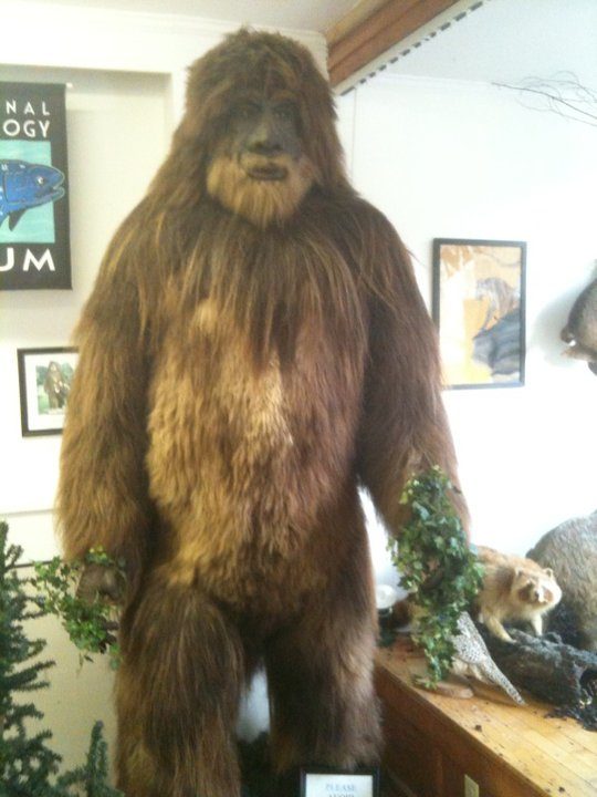 <a href="http://cryptozoologymuseum.com/" target="_blank">International Cryptozoology Museum</a> in Portland, ME