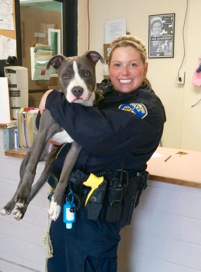 The pup was put on "stray hold," a period of time where the rightful owner has a chance to claim the dog. After a few days without anyone coming for him, Acord was granted the adoption!