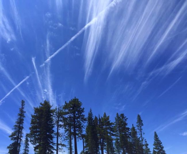 According to most major conspiracy theory news sources, chemtrails are a real and persistent threat to human existence. However, beyond that overarching theme, the specific allegations of what's in them are diverse, and frankly quite bizarre.