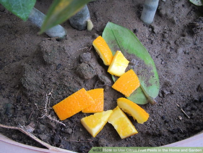 Add peels to your composting pile to reduce the stench.
