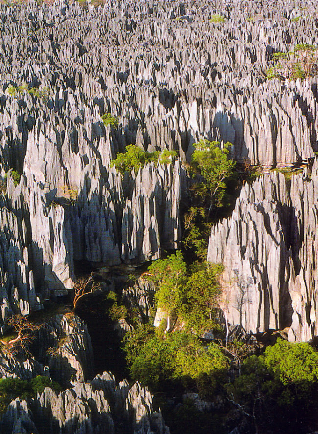 It might look like a landscape out of an <em>Avatar</em> sequel, but Tsingy de Bemaraha National Park is very real.