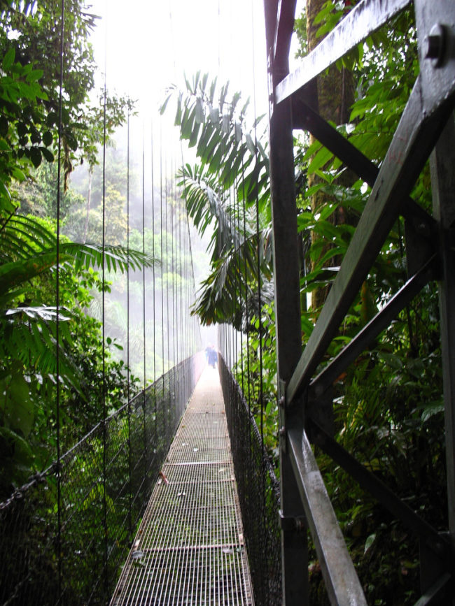 They don't call it the Monteverde Cloud Forest for nothing. Set some 4,662 feet above sea level, the verdant landscape is often shrouded in misty clouds.