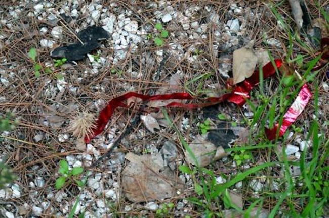 All around the grounds were these pieces of red ribbon, and it looked like someone recently celebrated even though the school hasn't been open for years.