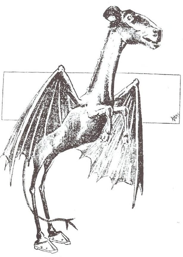 New Jersey - The Jersey Devil