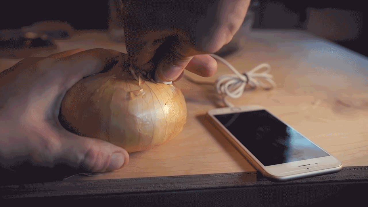 After letting the onion soak for 30 minutes, take it out of the bowl, dry it off, and plug the cord directly into it. This should give you enough power to charge your phone for 15 minutes.