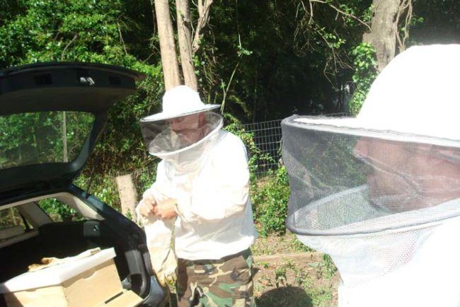 The first course of action was to call a beekeeper and try to get the situation under control. Here we have underdog106 and the beekeeper suiting up.