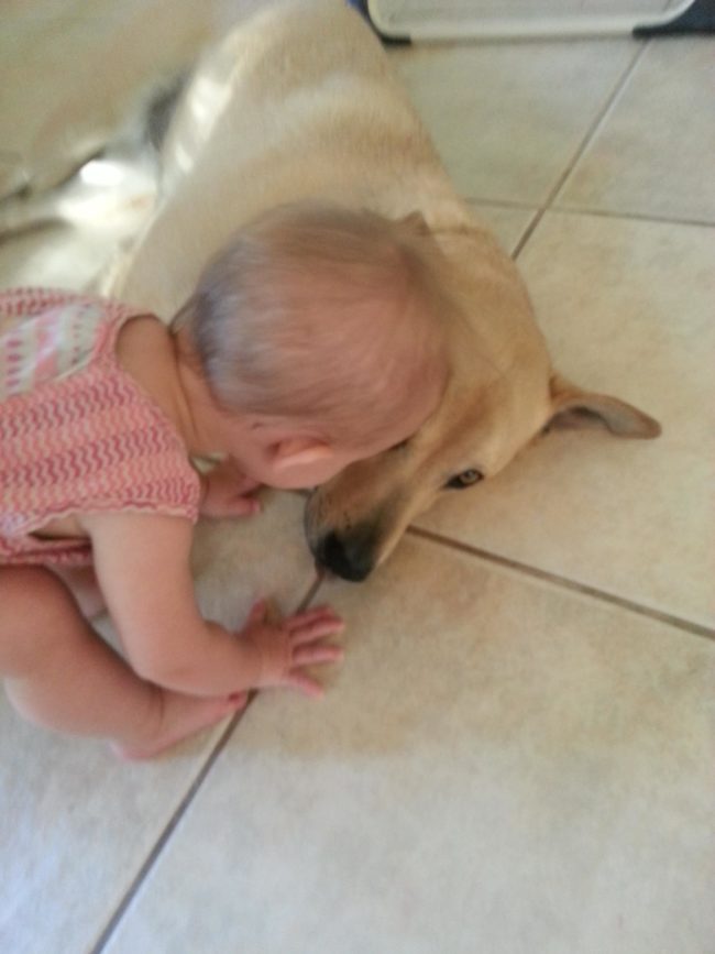 She always gives him a kiss before she goes down for a nap.