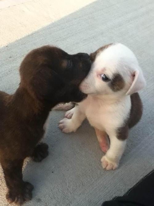 That awkward first kiss...