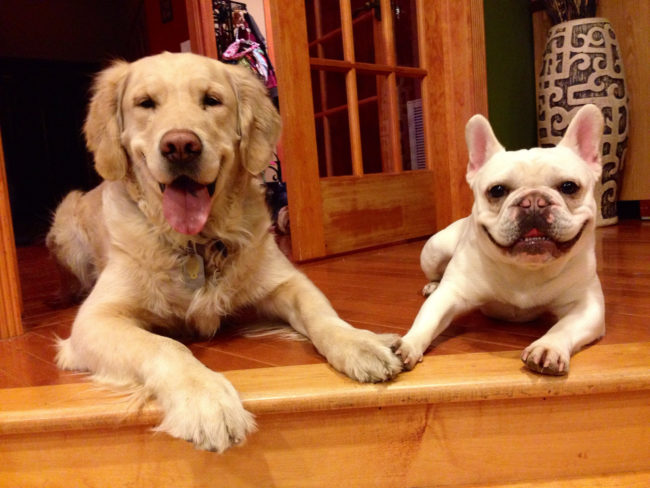 "Just grin and bear it. We'll get treats."