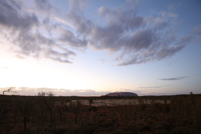 "Field of Light" -- also known as "Tili Wiru Tjuta Nyakutjaku" in the Aboriginal language of that region -- stretched across a sizeable plot of land.