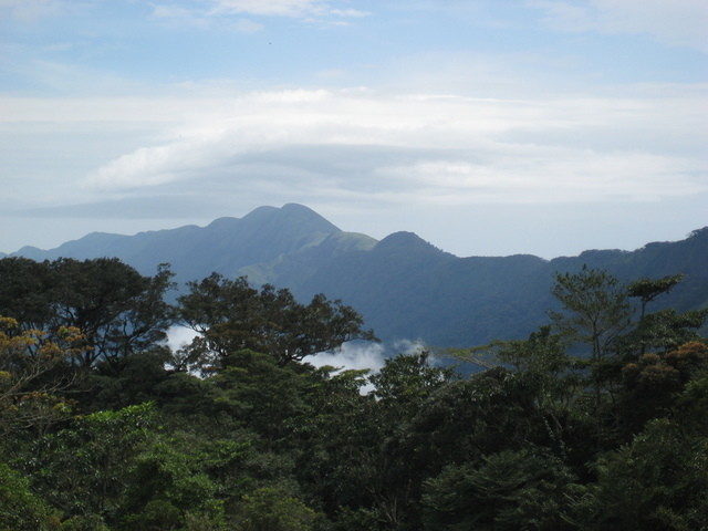 Mount Nimba Strict Nature Reserve, C&ocirc;te d'Ivoire