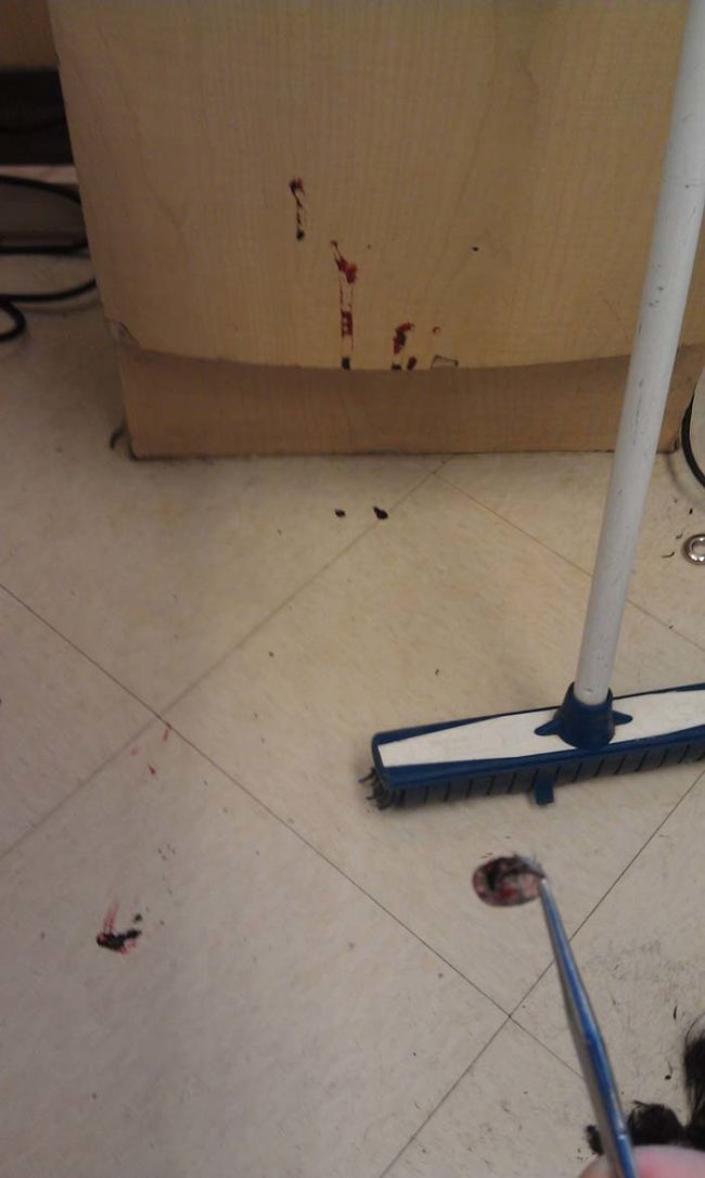 Here's what happens when you accidentally step on a blood-filled tick. Nothing is sacred.