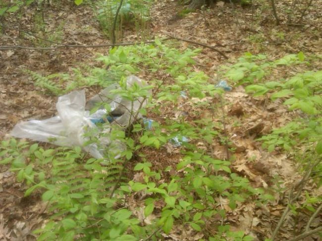 "I walked gently around the object to get a better look at it, and I could now see that there was some clear plastic sheeting protruding from an opening in the tarp.  I also noticed the gruesome bundle was tied with some type of cord.  There was something else protruding from the plastic..."