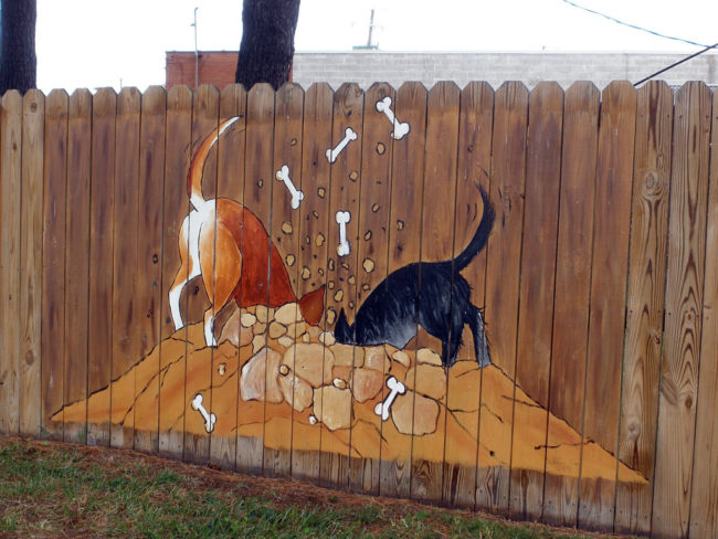 Express your style by painting a fun mural on your fence.