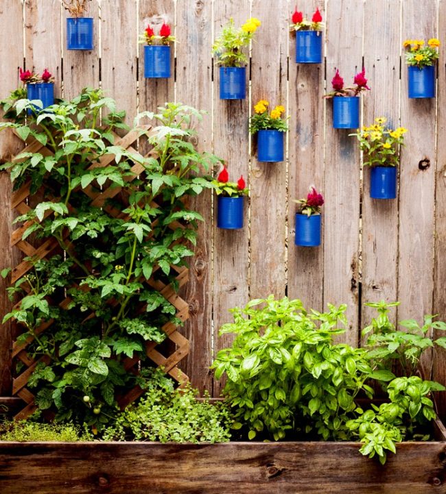 Not only are these tin can planters adorable, they're also super inexpensive!