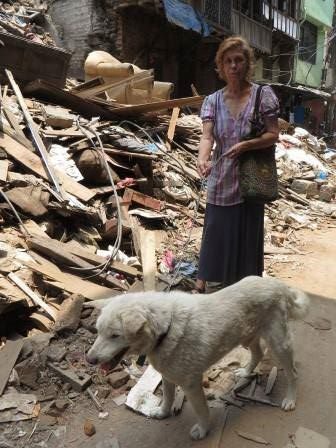 While funds have always been a little tight, as is true of most rescue shelters in the world, things were only made worse on April 25, 2015...a 7.8-magnitude earthquake hit the region.