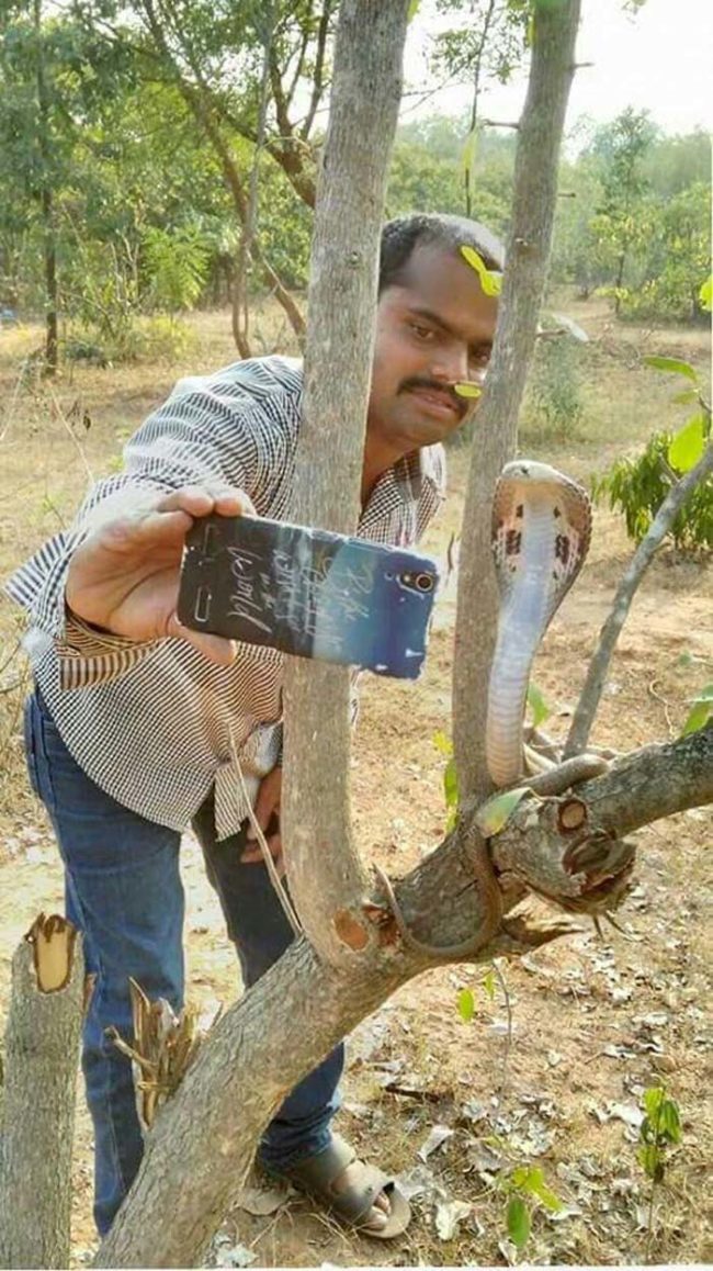 Selfie with a snake? Always a terrible idea.