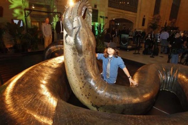 And just for some perspective, this is how big prehistoric snakes were.