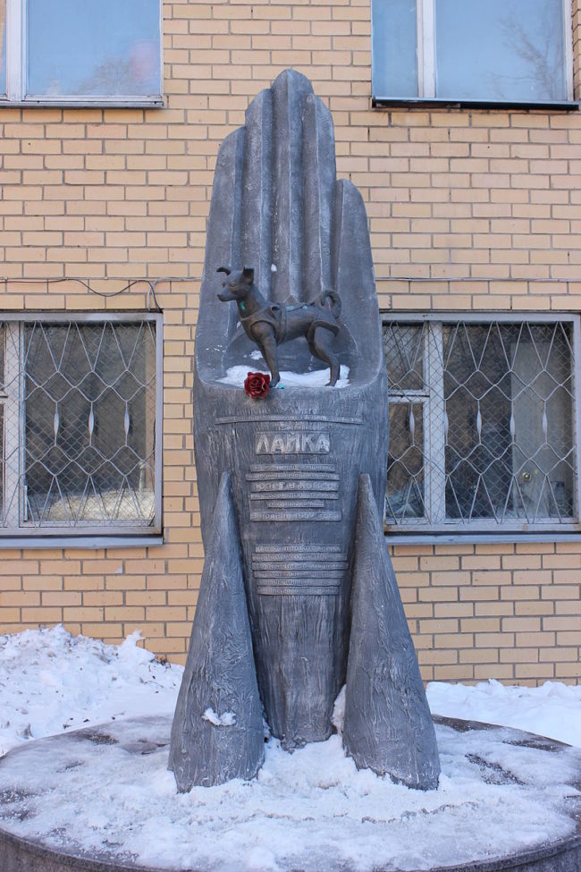 Initially, the Soviets claimed that they humanely euthanized Laika after she began running out of oxygen. It wasn't until 2002 that her true cause of death was revealed. In 2008, a monument was erected in Laika's honor outside of the facility in which she trained for flight.