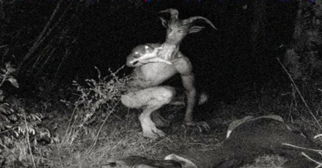 The Pope Lick Monster is a creature that supposedly lives in Pope Lick Creek. Some legends say that he is an escaped circus freak. Others believe that he is the reincarnation of a farmer who once sacrificed goats.