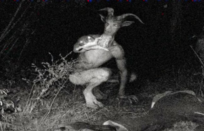 Now the Goatman stalks the forests of Prince George's County with his axe. His victims tend to be teenagers who park on the side of the road to get busy, only to hear a cloven hoof knocking on the window.