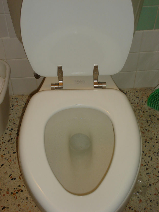 For an extra-deep clean, remove your toilet seat every once in a while to get in the crevices. All you need is a flathead screwdriver!