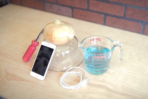 Round up a large onion, 2 cups of Gatorade (or the electrolyte-rich sports drink of your choice), a bowl, a screwdriver, and that God-forsaken charging cord.