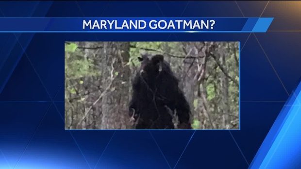 Earlier this month, Baltimore's WBAL-TV received two tips about the return of the infamous Goatman, which is arguably the goofiest minor cryptid in America.