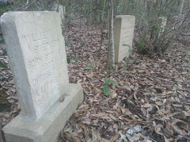 After 20 minutes of wandering, jfreeman81 came across this overgrown and very abandoned cemetery.