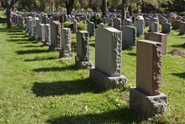 First and foremost, graveyard gardeners are charged with cleaning up old flowers that have been left behind by visitors.