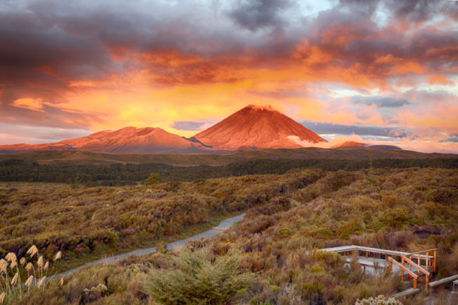 Actually, all of New Zealand is basically Middle-earth. (This is beautiful Mount Doom, aka Mount Ngauruhoe.)