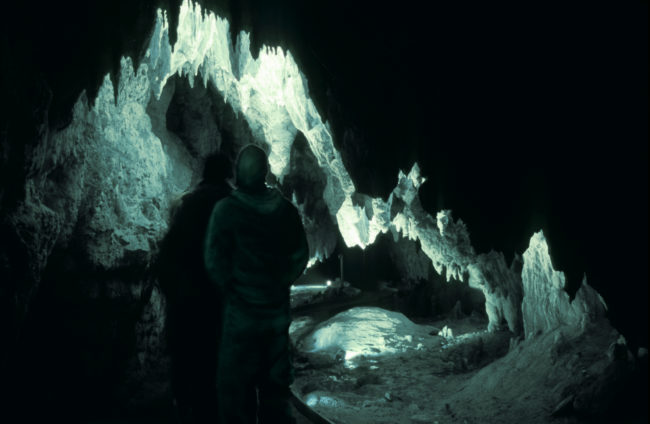 Even if you're not a fan of insects, the Waitomo Glowworm Caves are not to be missed.