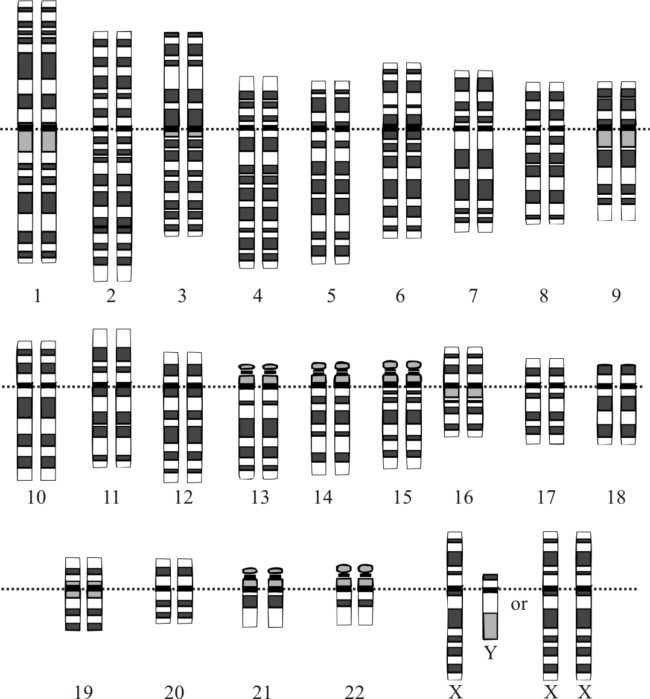 2000: The human genome is sequenced for the first time.