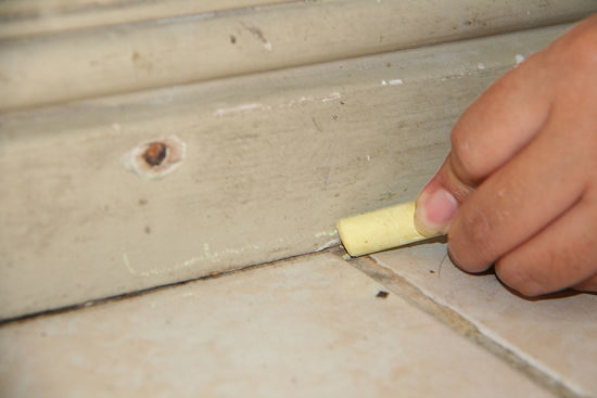 Ants and other bugs hate talcum powder, a key ingredient in chalk,  so you can draw lines in parts of your home that are susceptible to insects. 