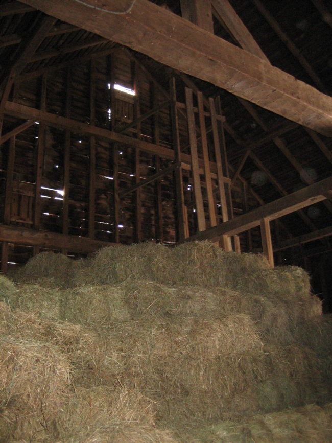Piece by piece, they began taking the barn apart.