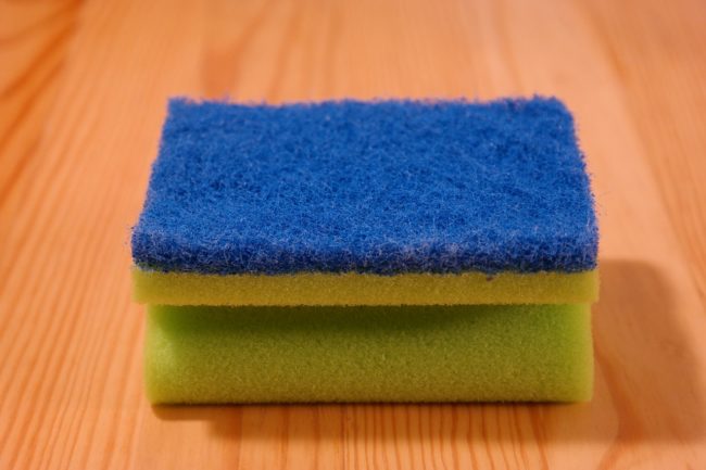 Store your sponge in the dishwasher.