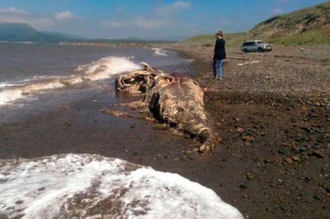 The Monster of Sakhalin